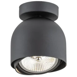 Argon Plafony Sufitowe I Ścienne|Nowoczesne Plafony Sufitowe<Garland 4711 BZ - - plafon 1 pł.