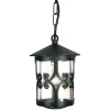 Elstead Lighting Lampy Wiszące Zewnętrzne|Lampy Ogrodowe, Oświetlenie Do Ogrodu<Hereford Black - - lampa wisząca ogrodowa